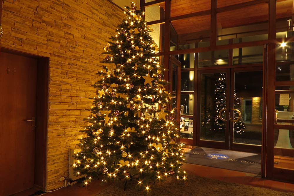 Wie ein echter Weihnachtsbaum: Modell Sherwood 3,05 m in Hotel-Lobby