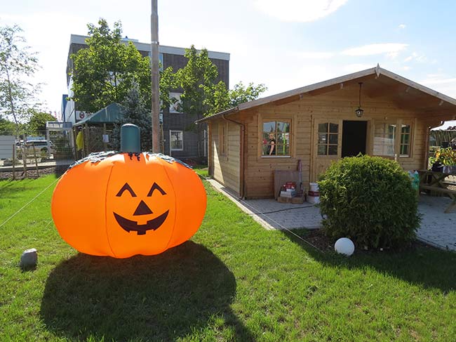 Großer bleuchteter Kürbis für Halloween für die Dekoration im Garten