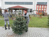 Weihnachtsmarkt