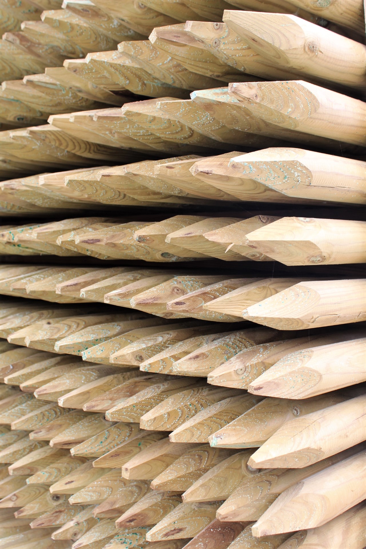 Pfahl Ø 6 cm Höhe 175 cm Holzpfahl Kiefer imprägniert Pflanzstab Gartenpfahl Rankhilfe Baumpfahl