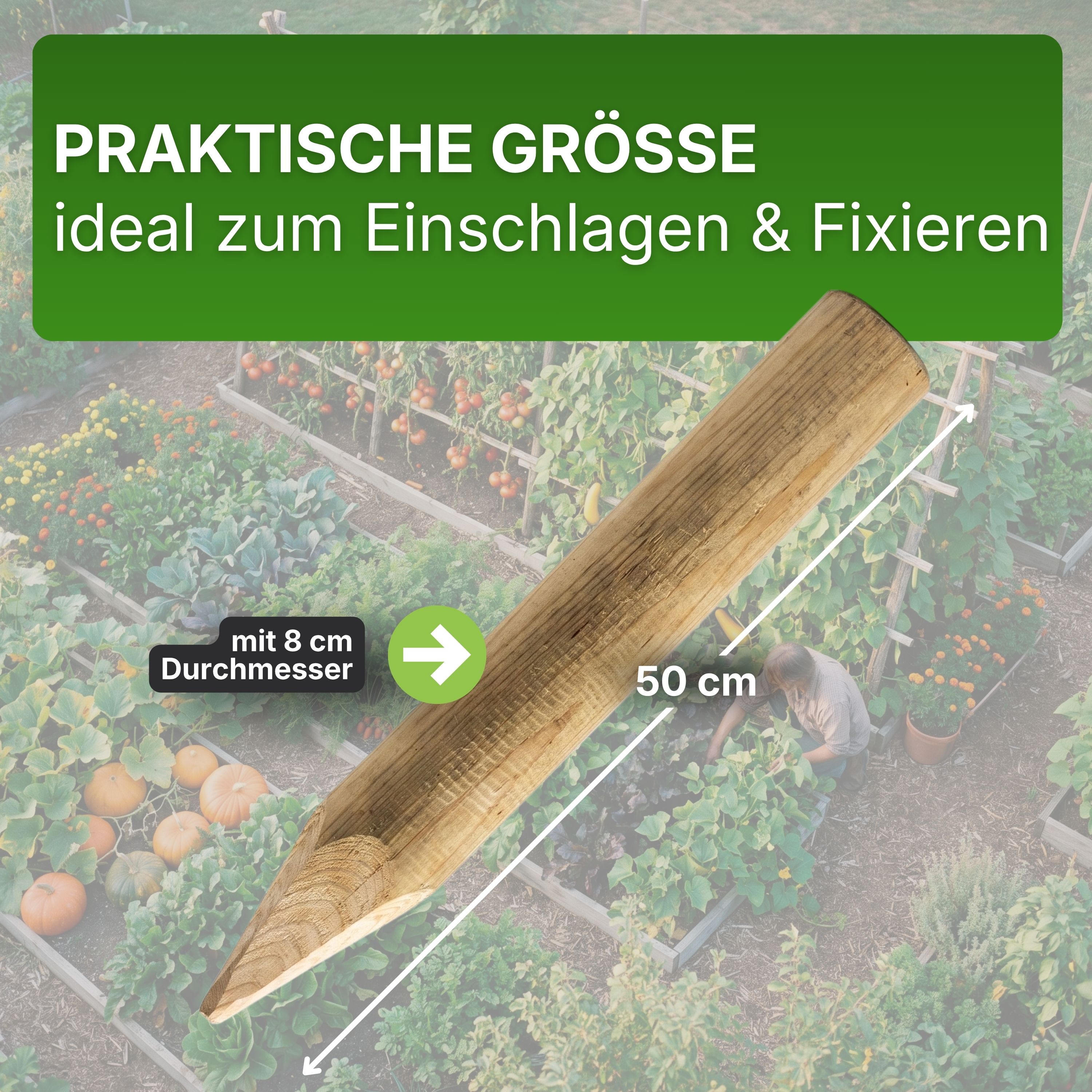 Palisaden Ø 6 und 8 cm Beetumrandung verschiedene Längen Rasenkante Holz-Pfosten KDI Pfahl