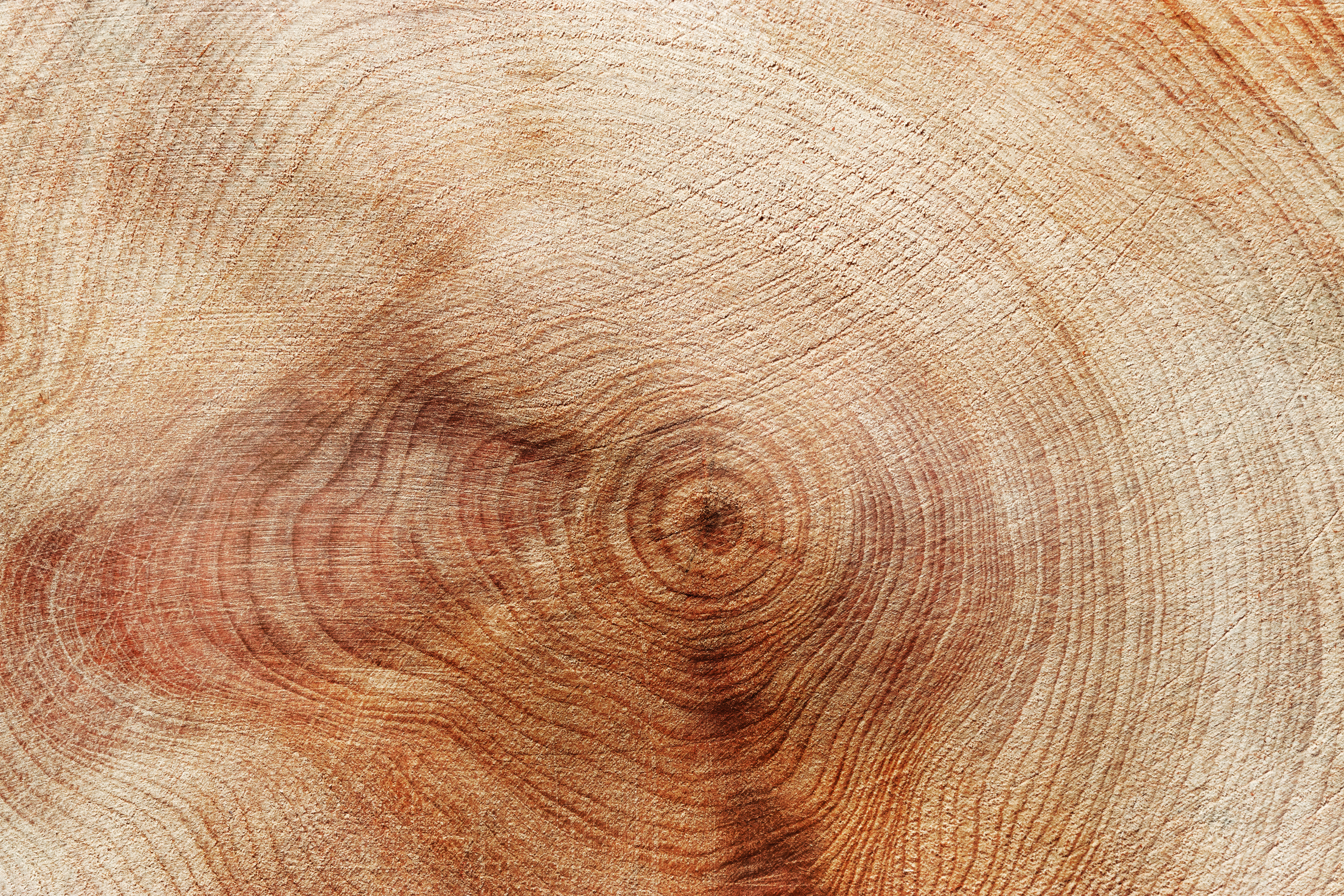 AdobeStock_1068213897 Holz Farbspiel & Maserung