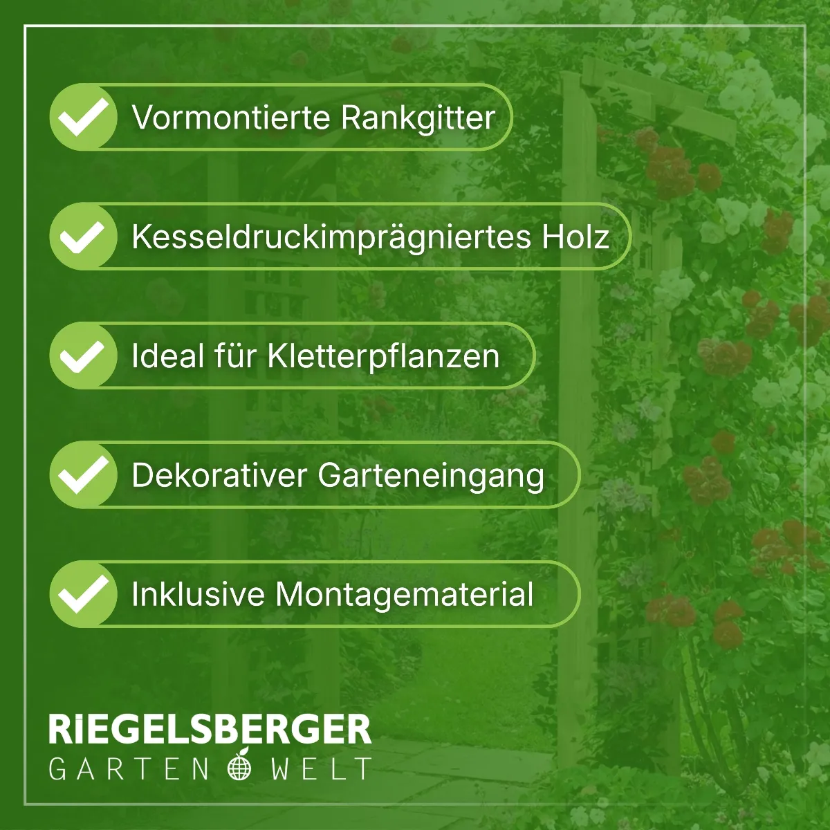 Torbogen Pergola Holzbogen aus Holz KDI mit Rankgitter Rosenbogen Rankhilfe
