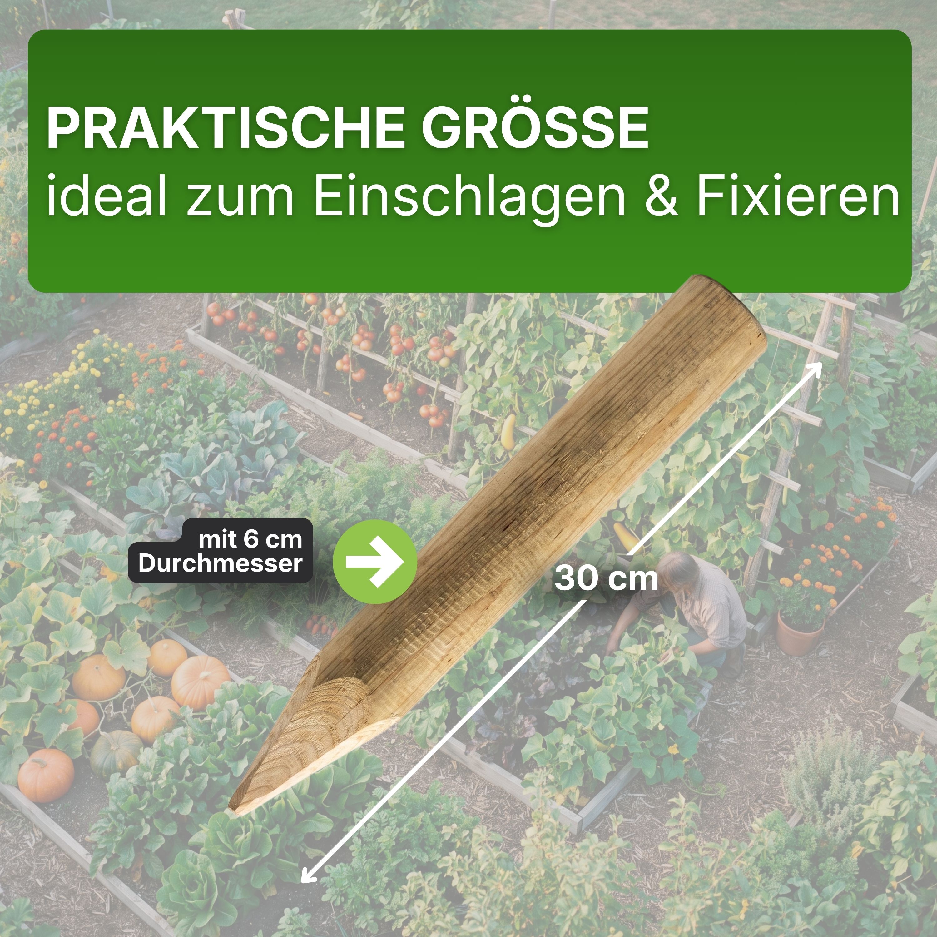 Palisaden Ø 6 und 8 cm Beetumrandung verschiedene Längen Rasenkante Holz-Pfosten KDI Pfahl