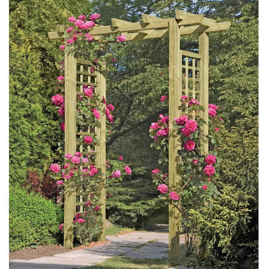 Eingangspergola 160x62x210 cm Garteneingang Holz Weinranke Rankhilfe Holzbogen Torbogen