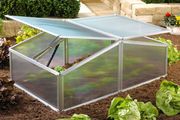 Alu-Frühbeetkasten XS Mini-Gewächshaus 60 cm x 100 cm x 39 cm