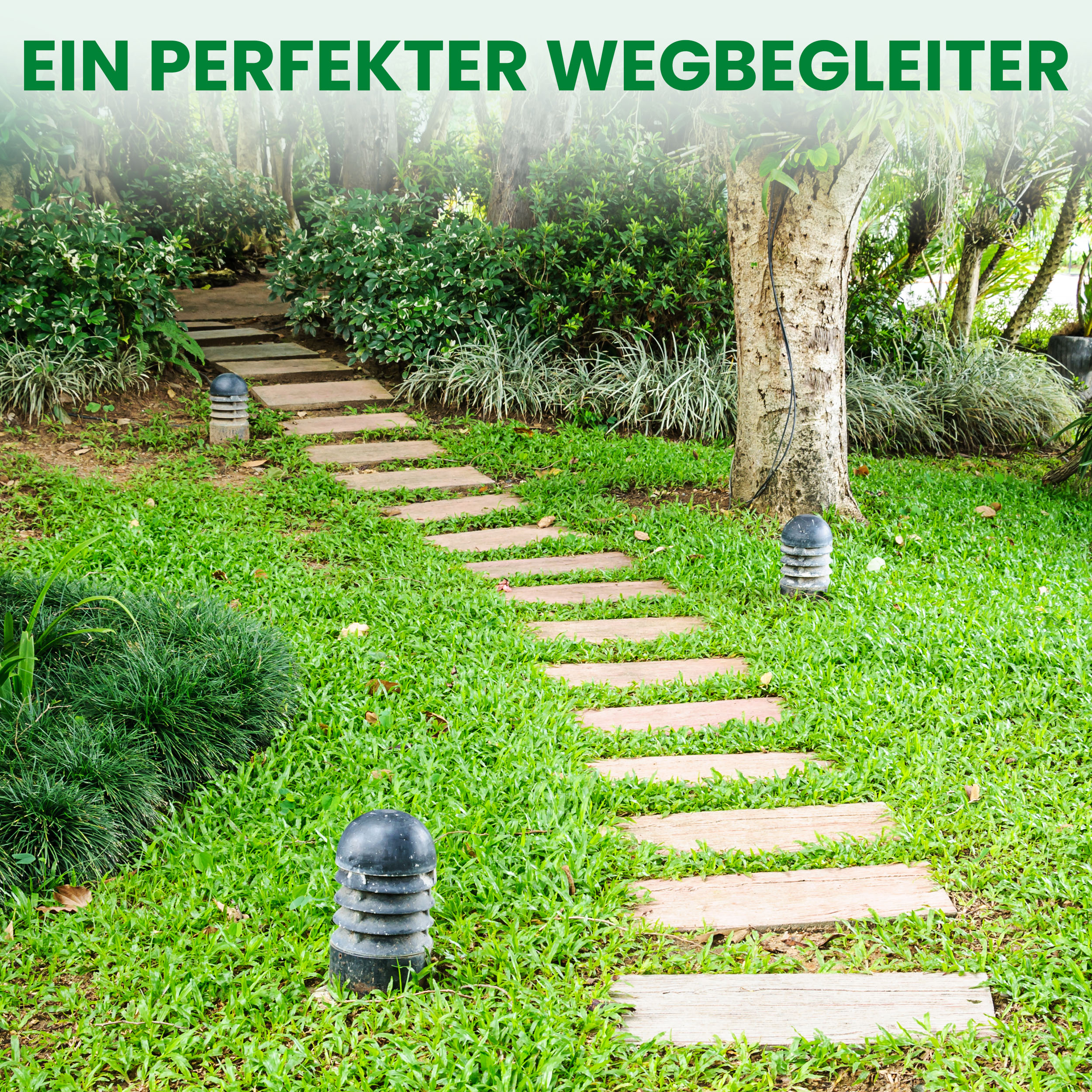 Rollweg aus Lärchenholz Gartentritte Trittplatten aus Holz Fliesen Weg im Garten