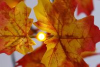 LED-Leuchtbaum Jährliche Dekoration mit Ahorn-Blätter warmweiß innen außen LED-Leuchtbaum Jährliche Dekoration mit Ahorn-Blätter warmweiß innen außen