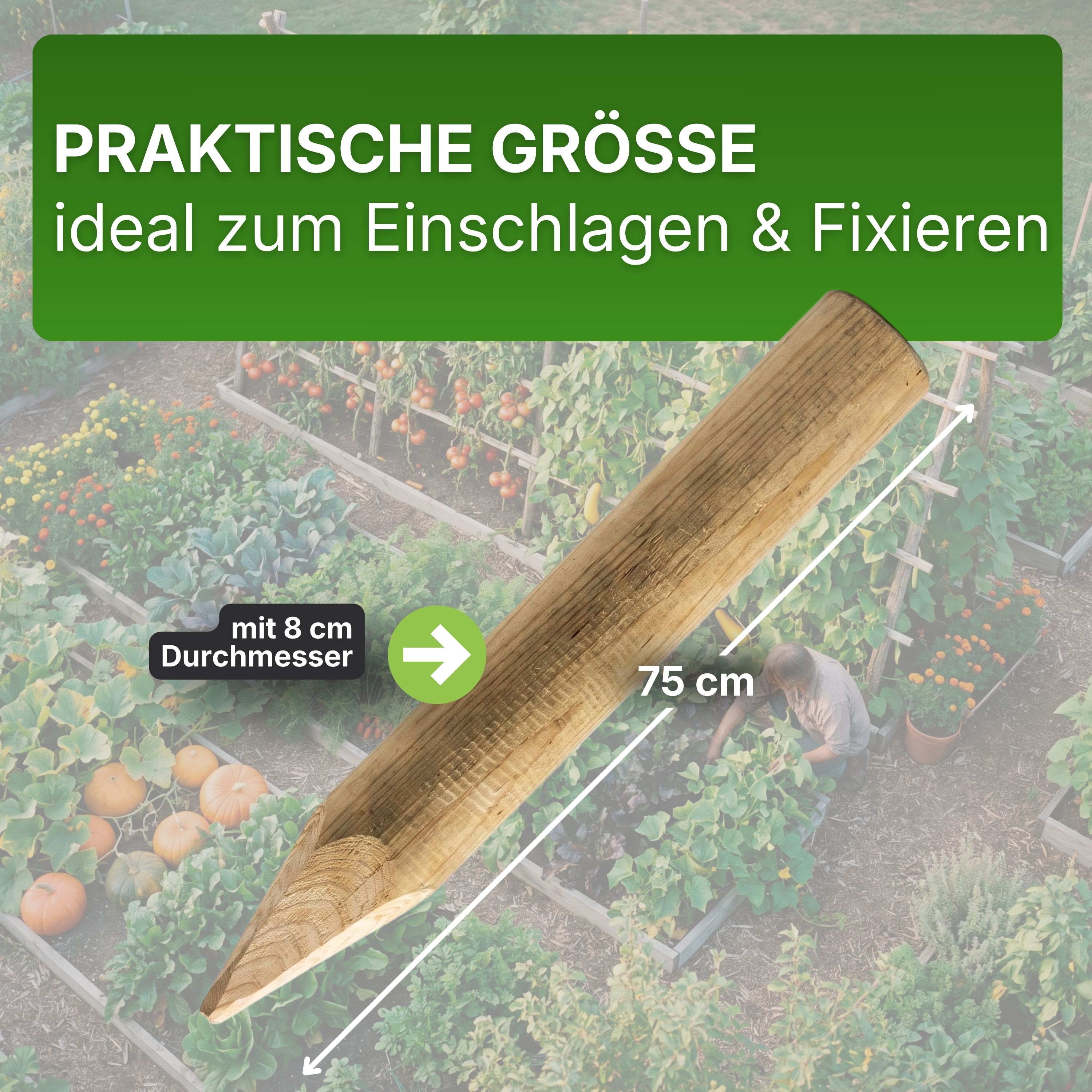 Palisaden Ø 6 und 8 cm Beetumrandung verschiedene Längen Rasenkante Holz-Pfosten KDI Pfahl