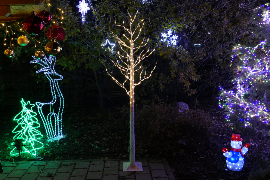 led-baum-garten-birkeLidzpeun4snIP LED-Baum Birke warmweiß für außen mit Timer