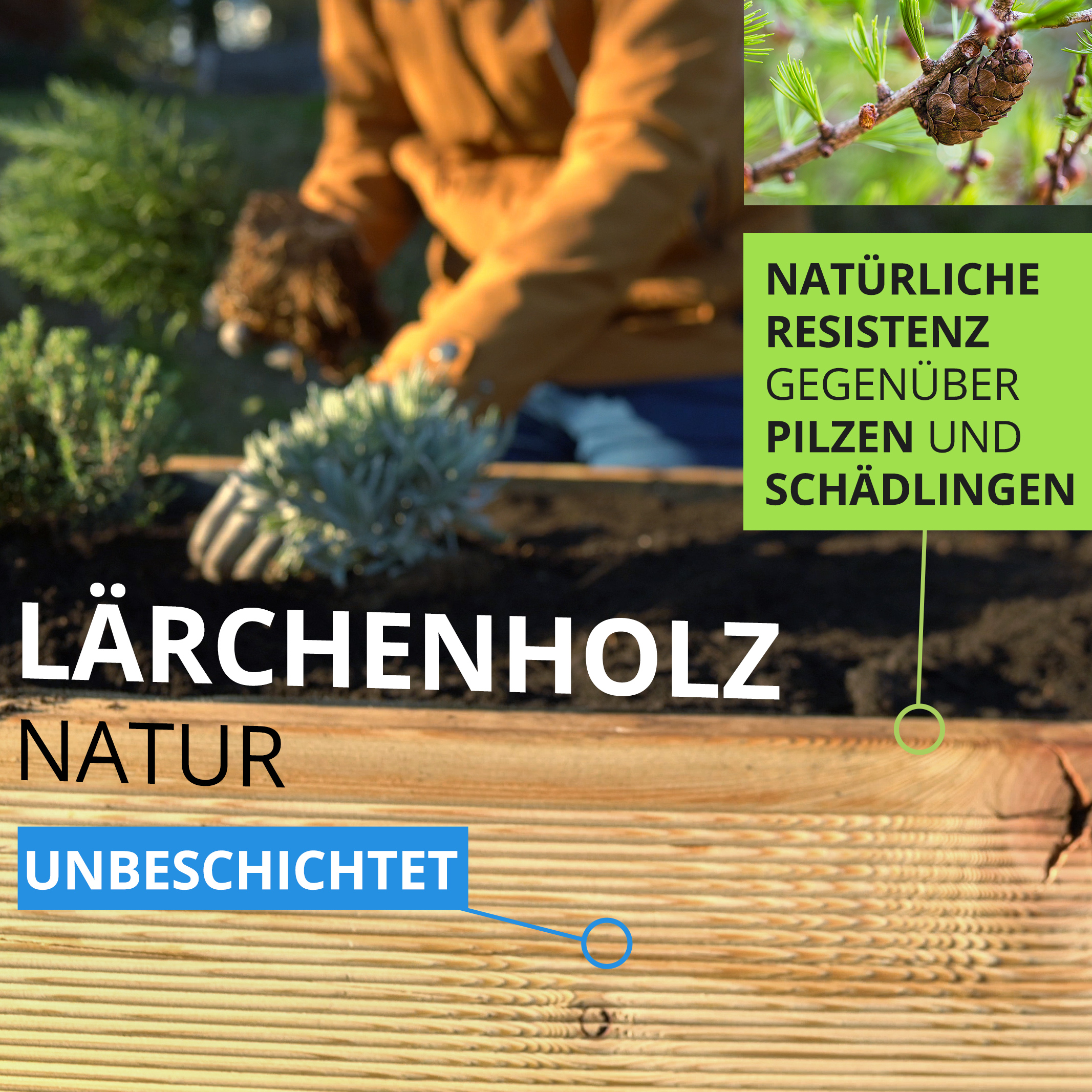 Natur Hochbeet aus Lärchenholz