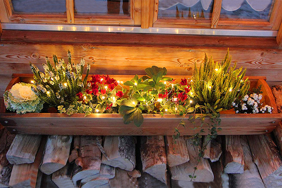 Bild-3-Kopie Batterie-Licherkette 100 cm 10 LED mit Silberdraht Micro-LED