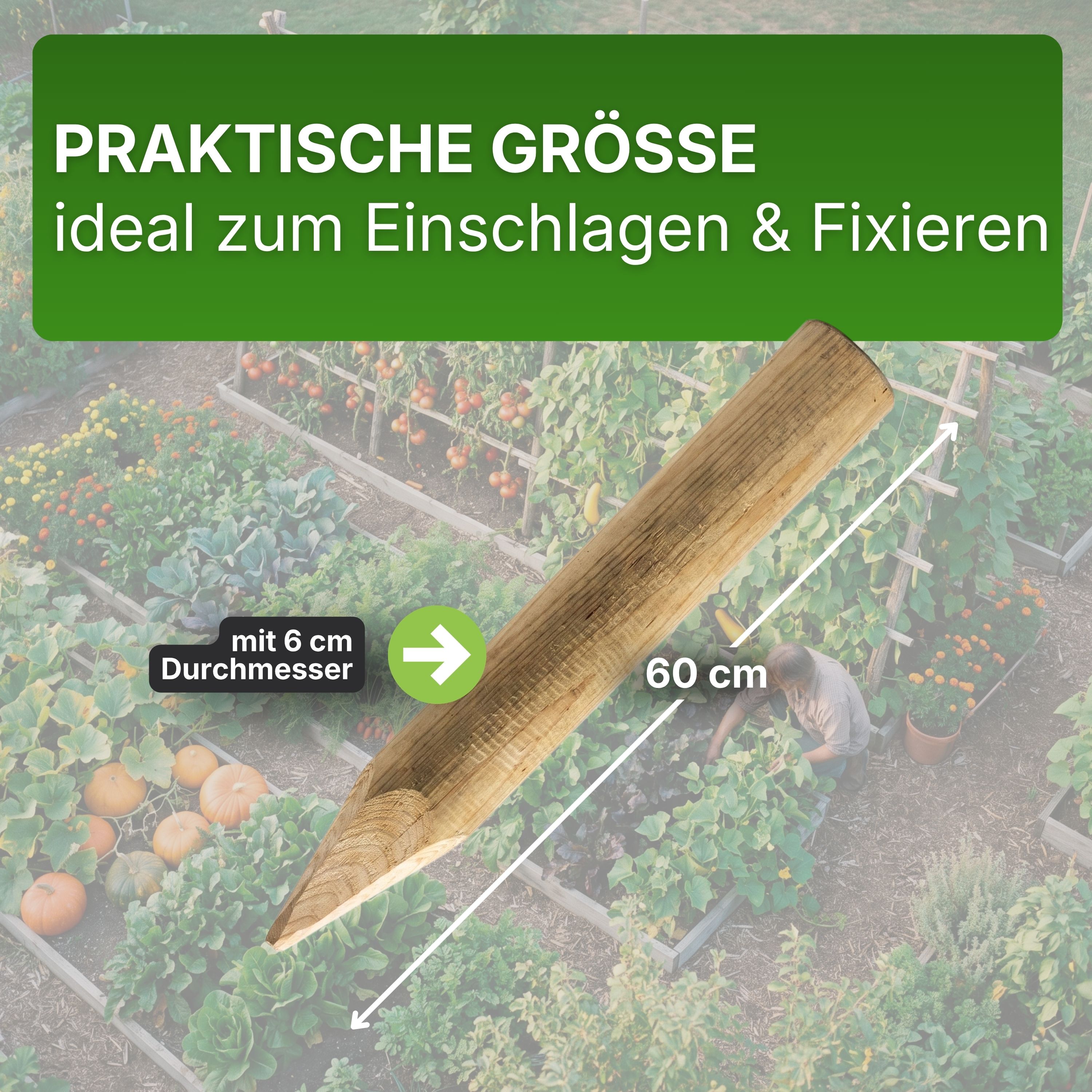Palisaden Ø 6 und 8 cm Beetumrandung verschiedene Längen Rasenkante Holz-Pfosten KDI Pfahl