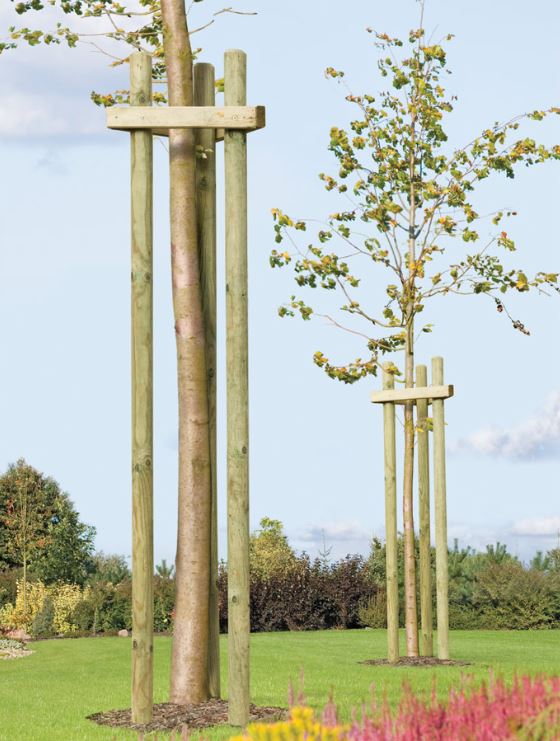 Pfahl Ø 4,6 cm Höhe 150 cm Holzpfahl Kiefer imprägniert Pflanzstab Gartenpfahl Rankhilfe Baumpfahl