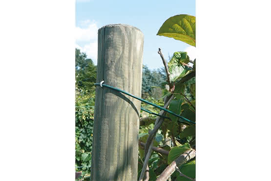 Pfahl Ø 6 cm Höhe 175 cm Holzpfahl Kiefer imprägniert Pflanzstab Gartenpfahl Rankhilfe Baumpfahl