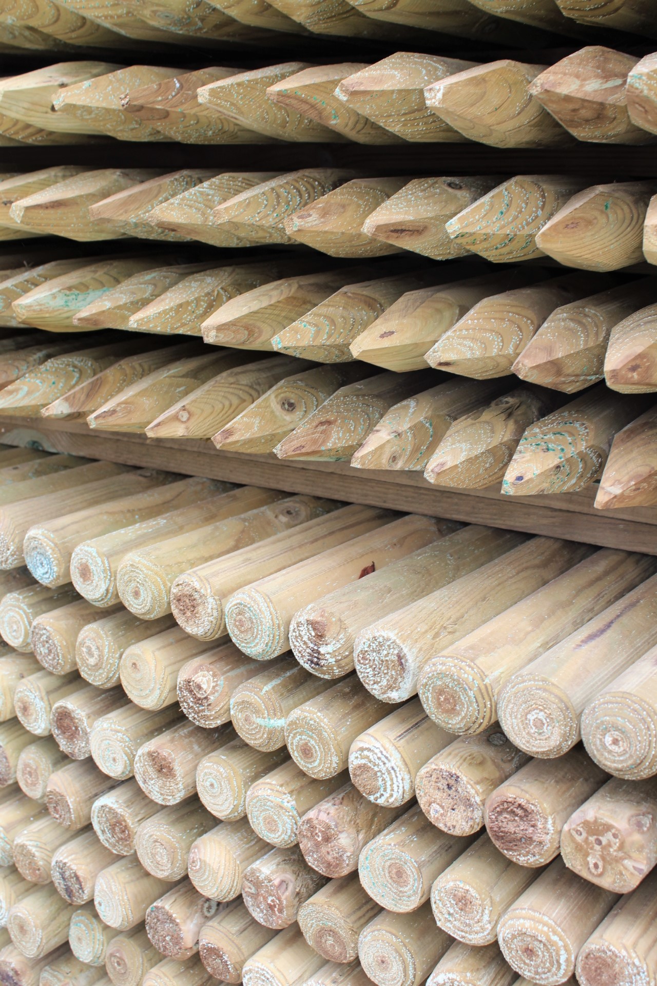 Pfahl Ø 6 cm Höhe 175 cm Holzpfahl Kiefer imprägniert Pflanzstab Gartenpfahl Rankhilfe Baumpfahl